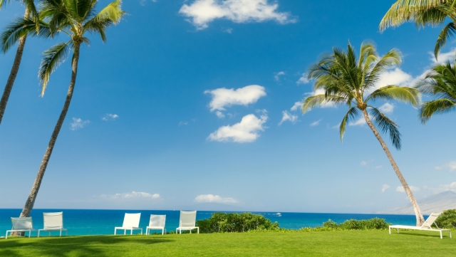 国外足球器材有哪些种类